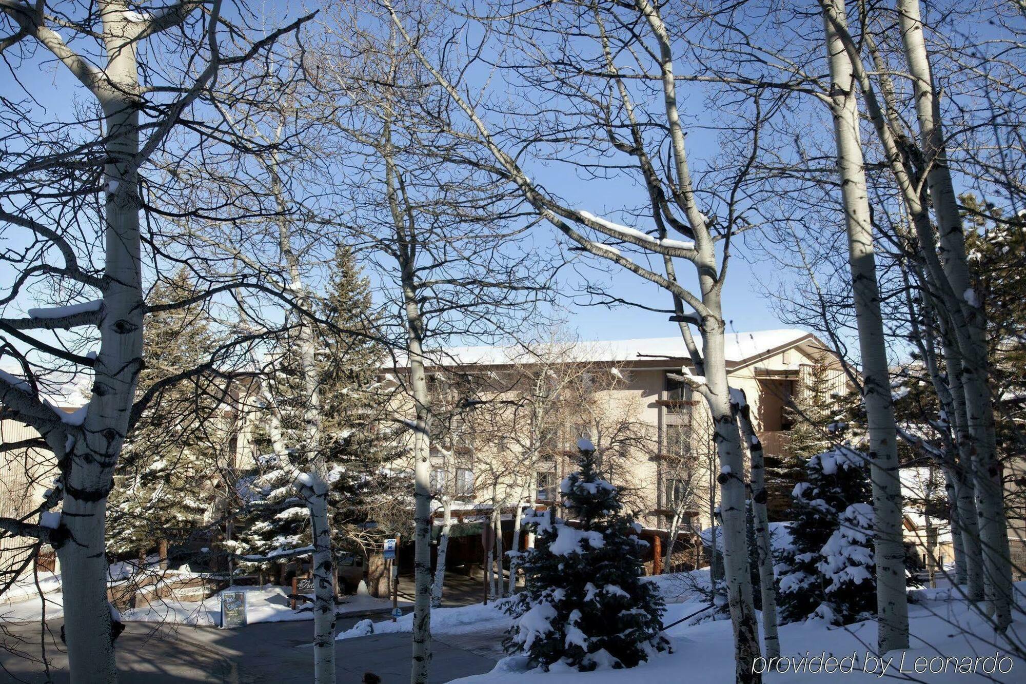 Tamarack Townhomes - Coraltree Residence Collection Snowmass Village Εξωτερικό φωτογραφία